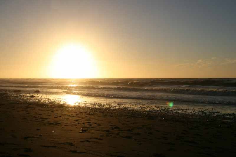 Nieuw-Zeeland 2011 - 1360